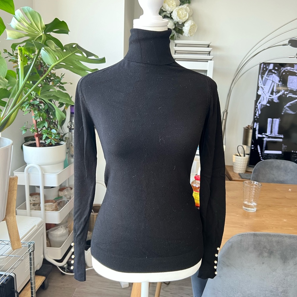 Zara Knit Turtleneck sweater